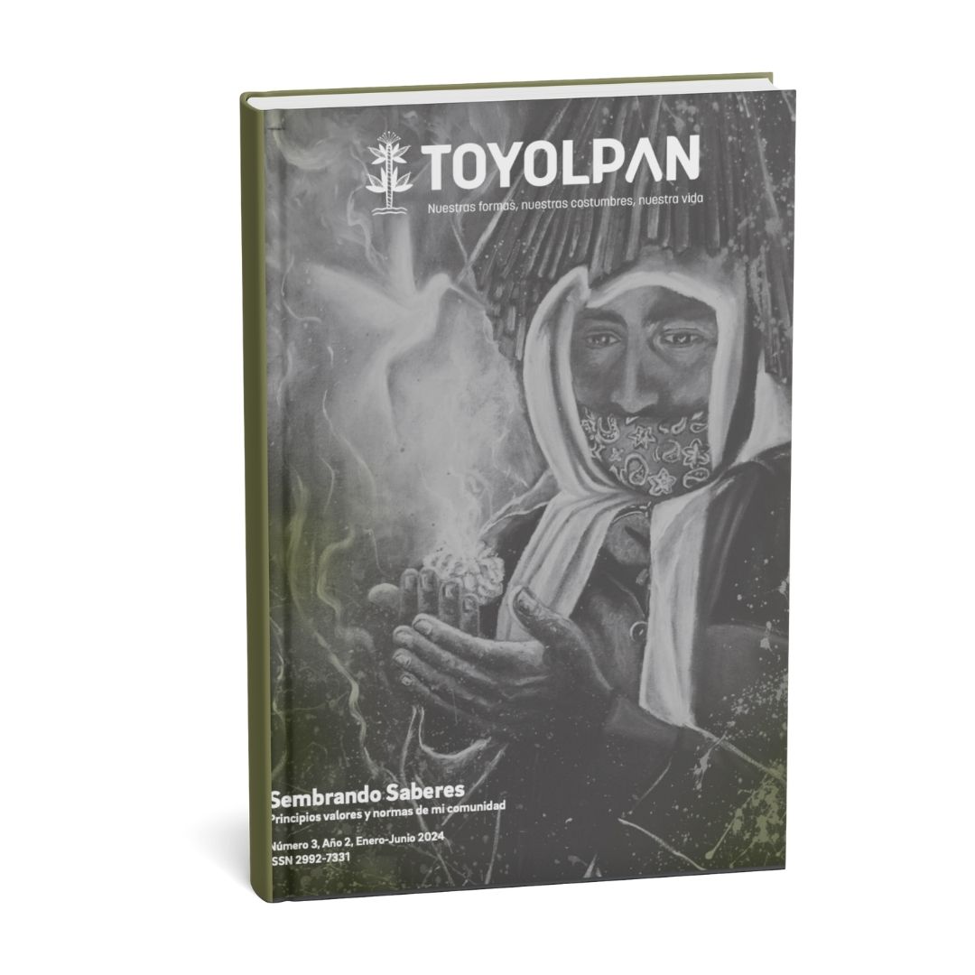 Toyolpan Colaborar (15)