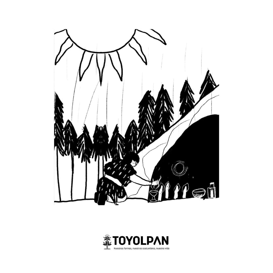 Toyolpan Colaborar (16)